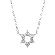 14kw Star of david Diamond Necklace