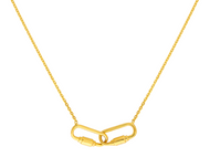 Pettie Carabiner Link Necklace